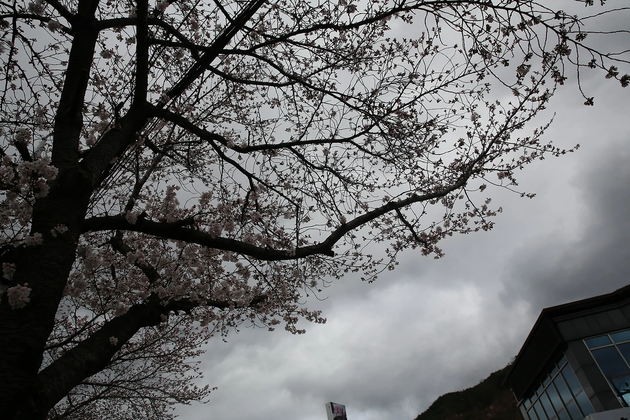 MG0A7185_новый размер.JPG