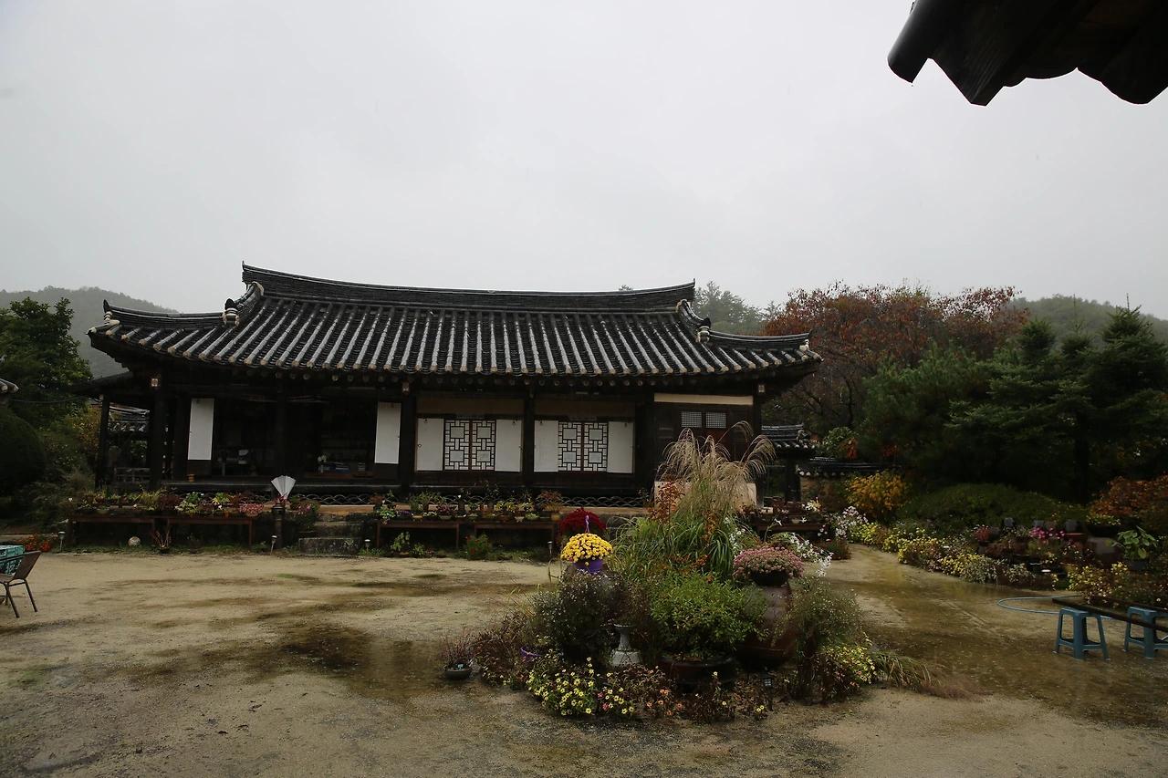 MG0A5990_новый размер.JPG