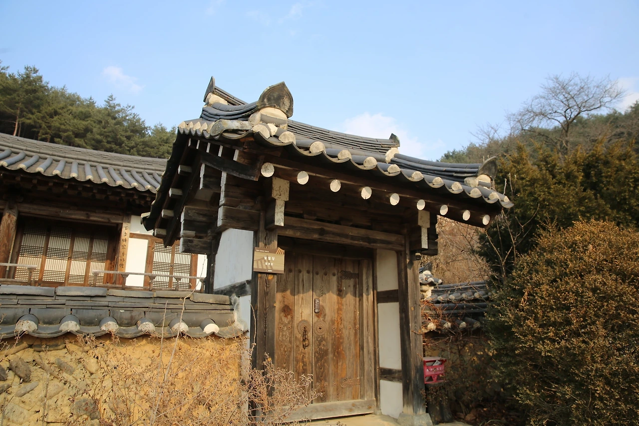 MG0A6377_новый размер.JPG