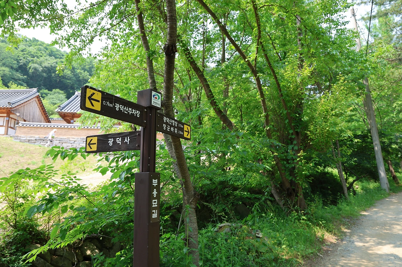 0R5A3214_новый размер.JPG