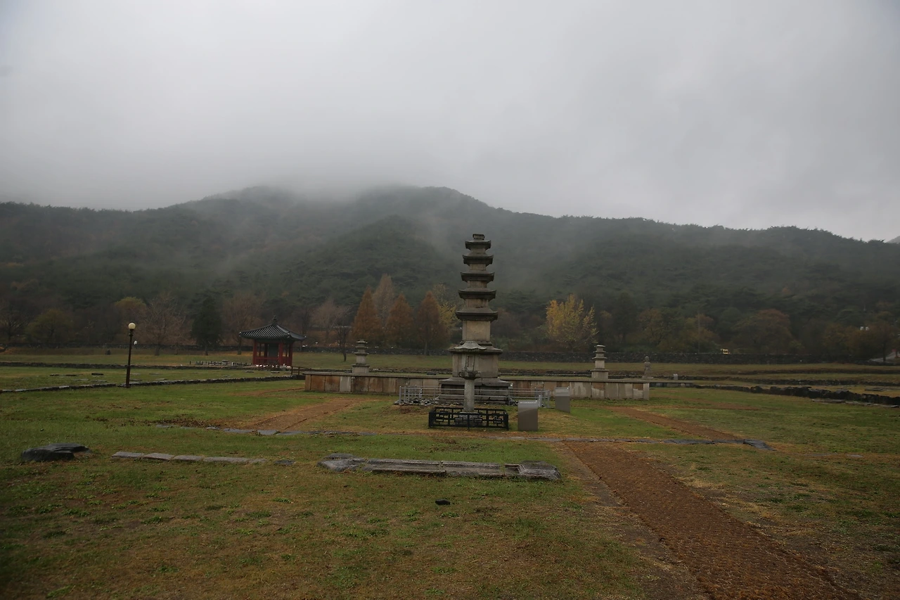 MG0A0902_новый размер.JPG