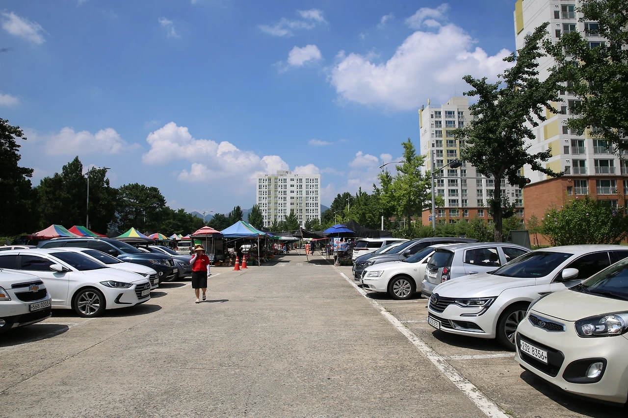 MG0A6883_новый размер.JPG