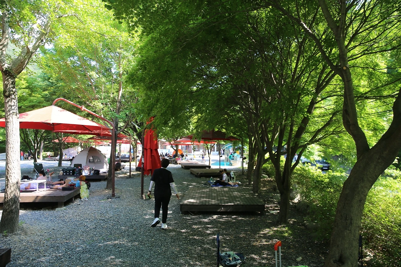 MG0A1541_новый размер.JPG