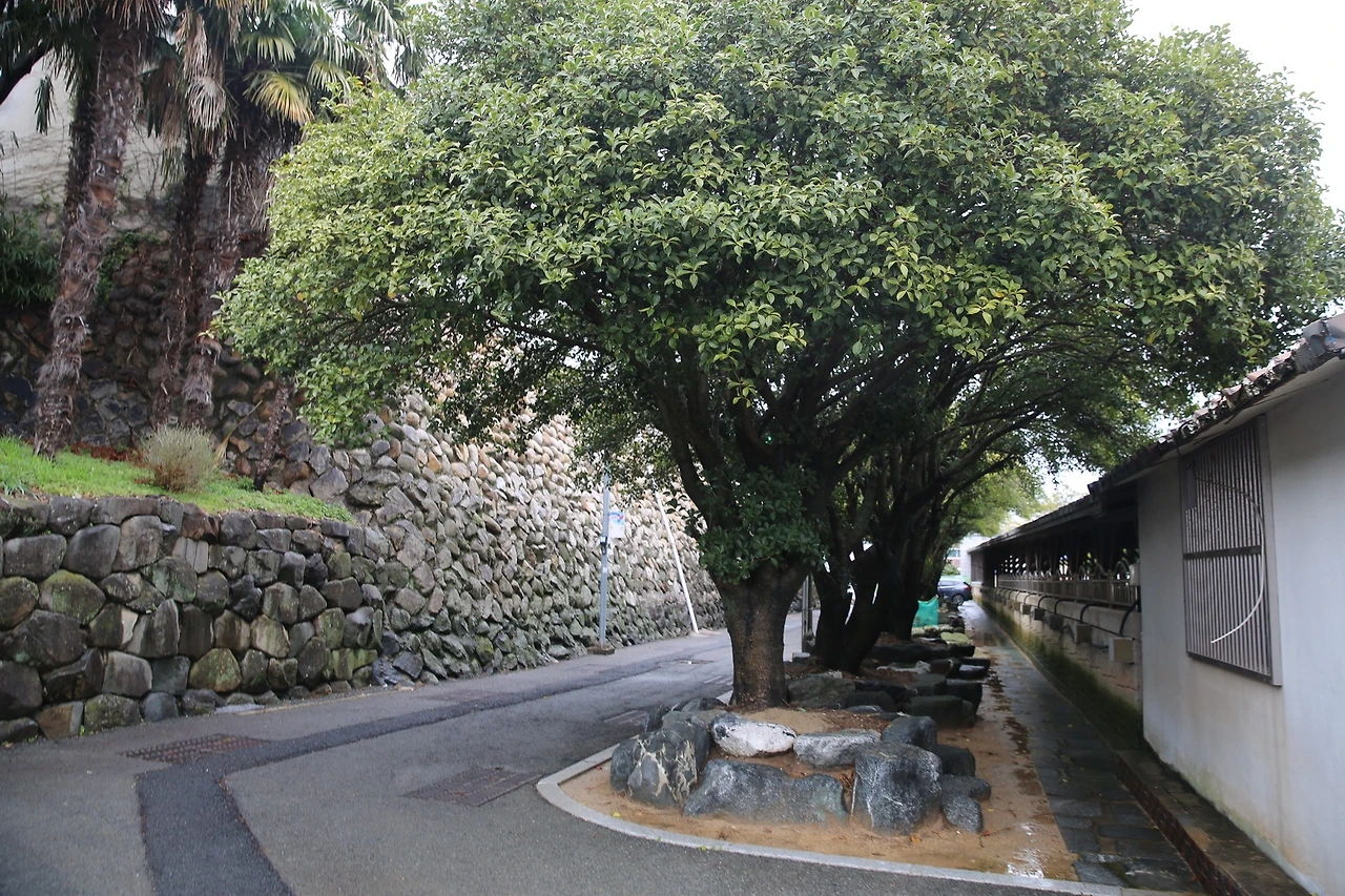 MG0A6723_новый размер.JPG