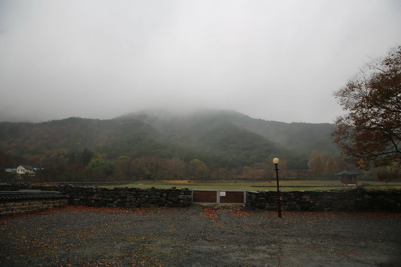 MG0A0898_новый размер.JPG