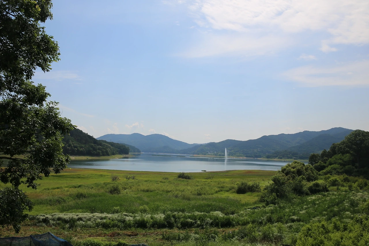 MG0A2169_новый размер.JPG