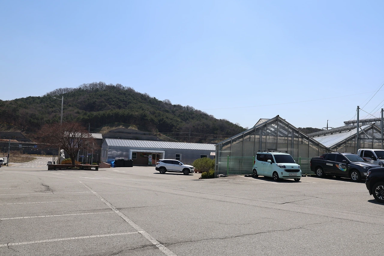 0R5A5871_новый размер.JPG