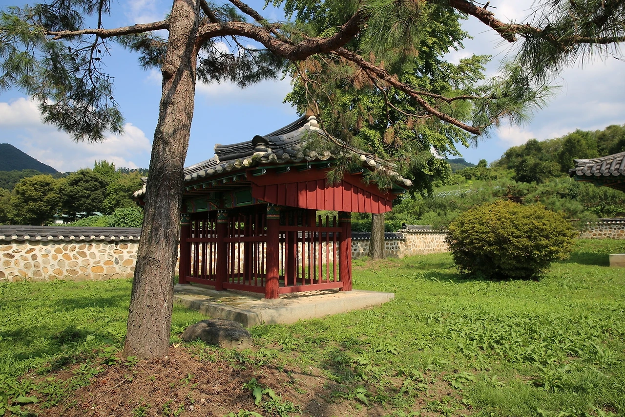 MG0A1538_новый размер.JPG