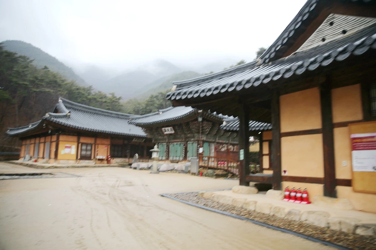 MG0A2291_новый размер_exposure.JPG