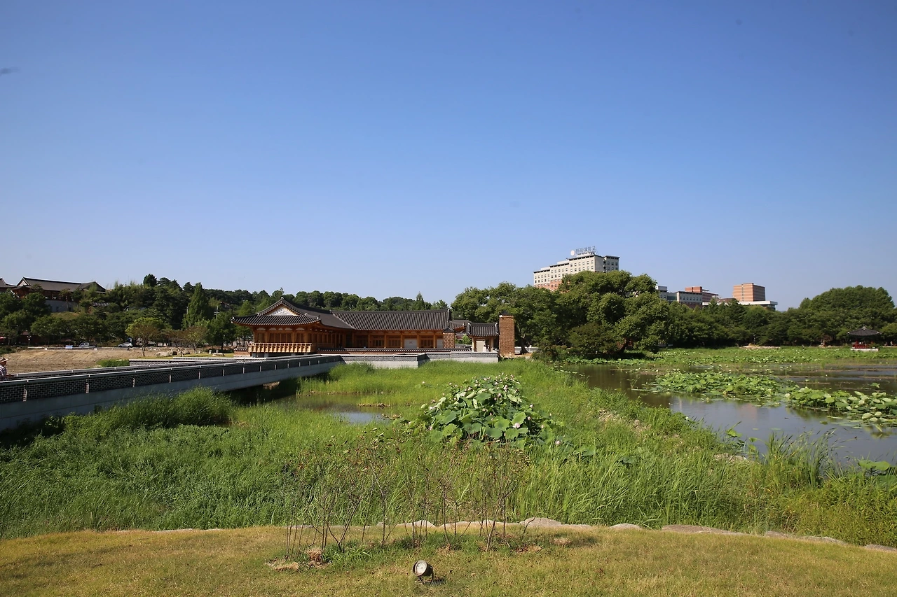 MG0A8987_новый размер.JPG