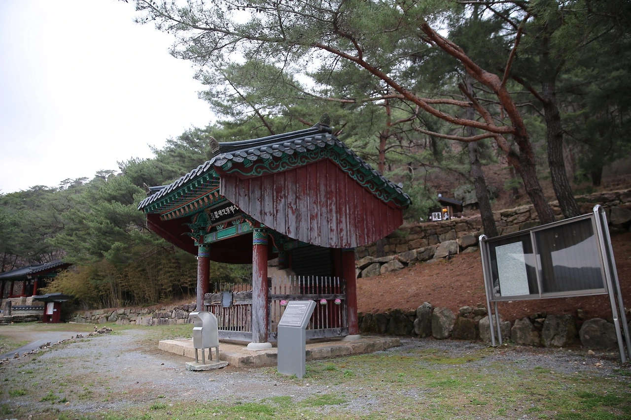 MG0A8463_новый размер.JPG