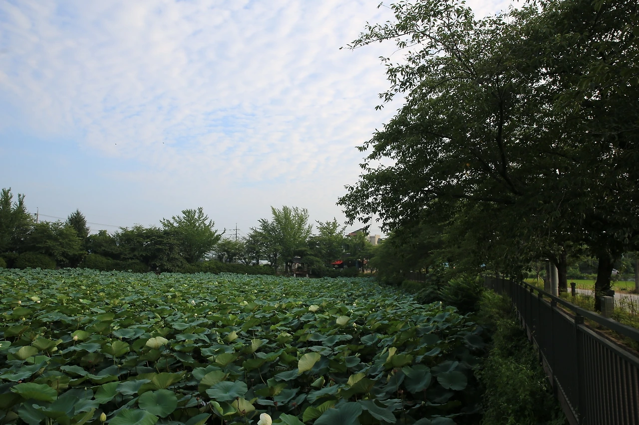 MG0A7151_новый размер.JPG