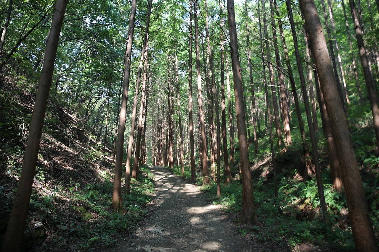 MG0A1526_новый размер.JPG