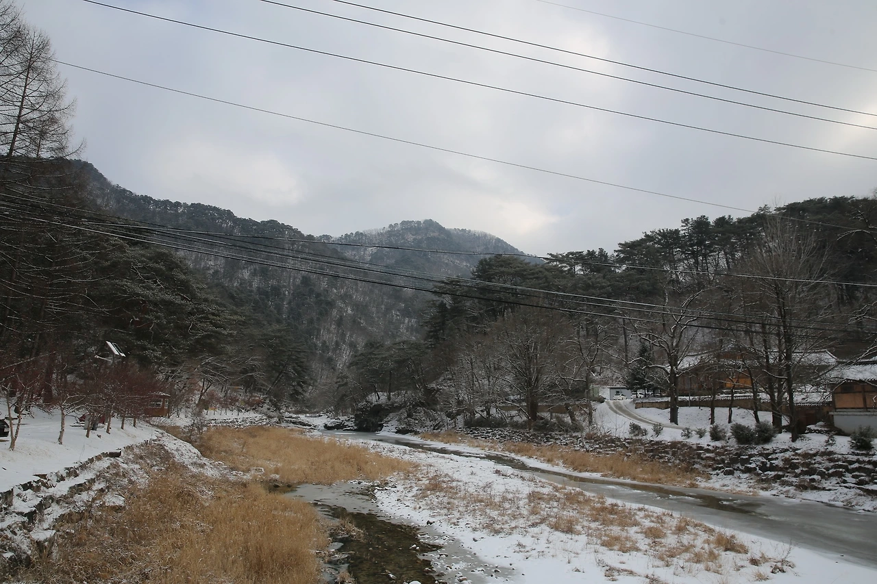 MG0A6338_новый размер.JPG