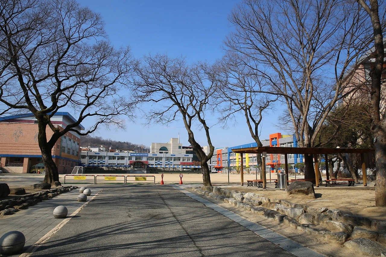 MG0A7267_новый размер.JPG