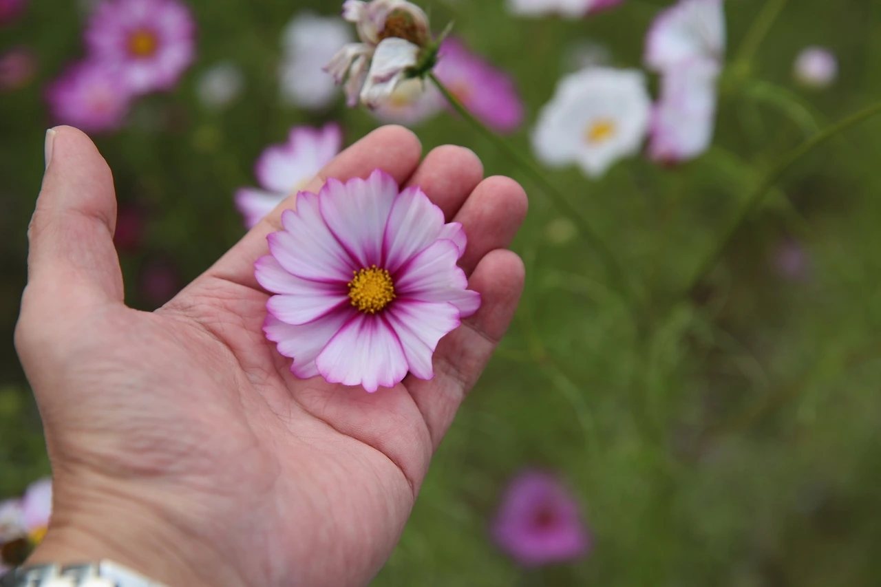 MG0A5099_новый размер.JPG