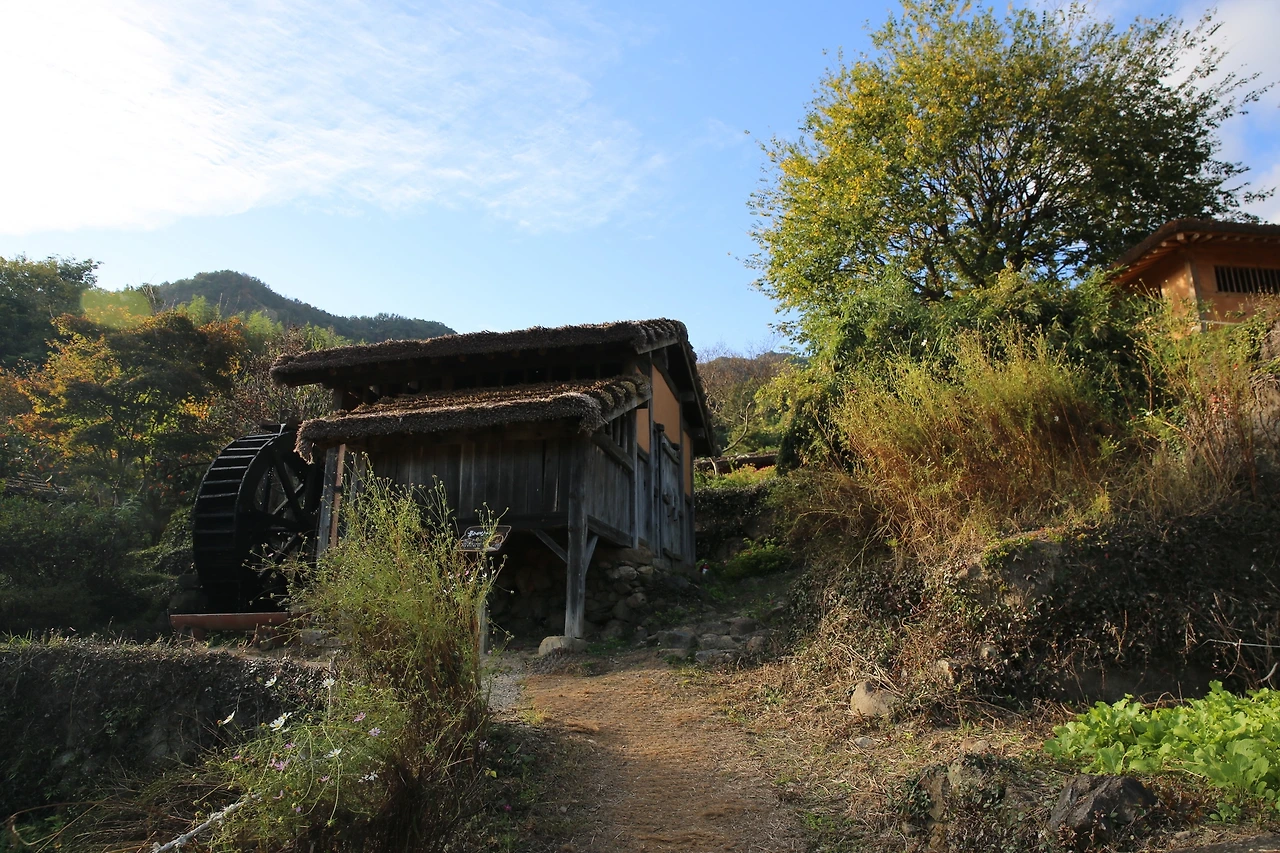 MG0A7975_новый размер.JPG