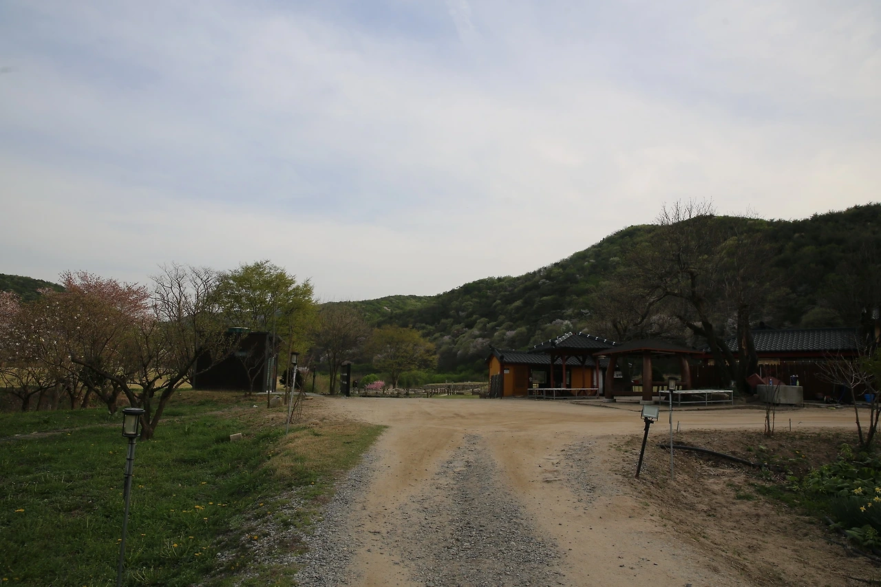 MG0A9483_новый размер.JPG