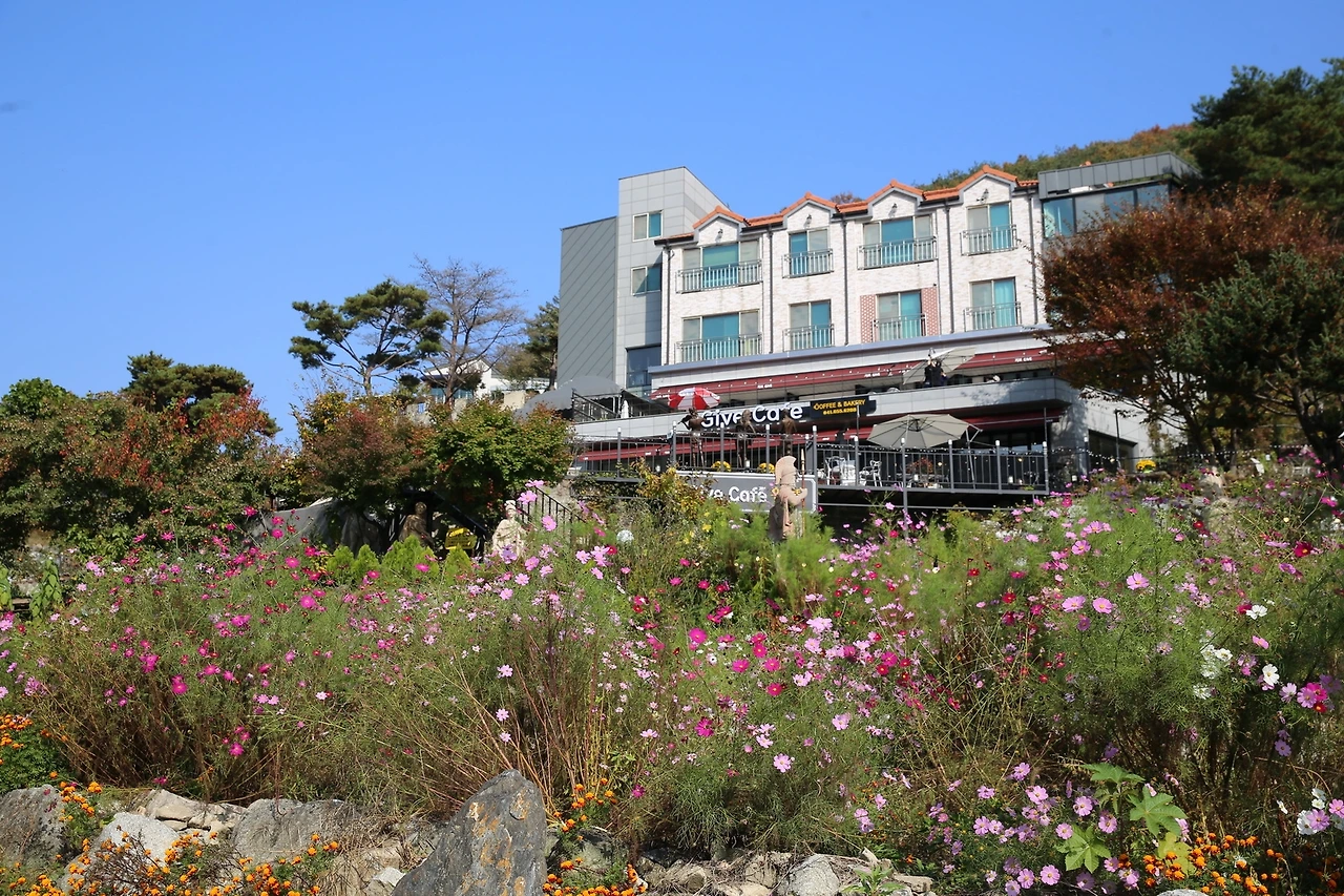 MG0A9137_новый размер.JPG