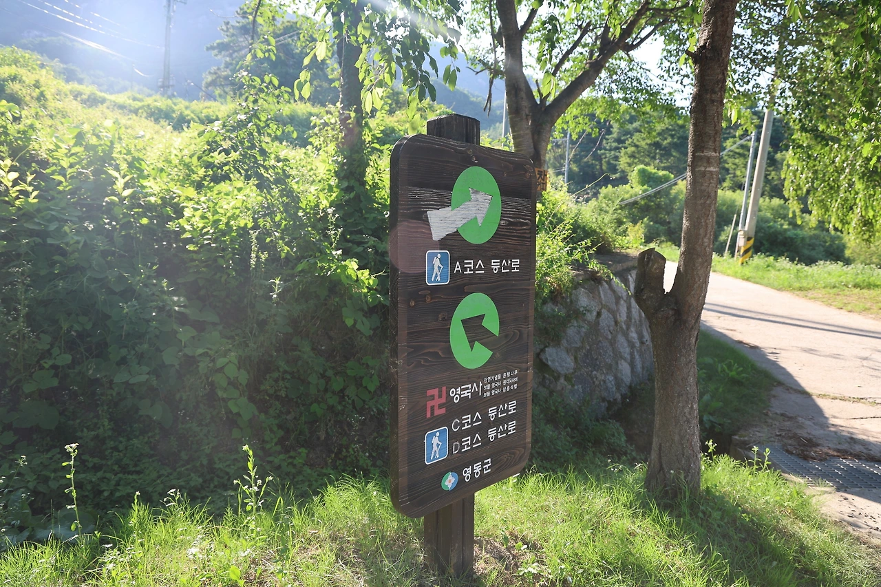 0R5A8075_новый размер.JPG