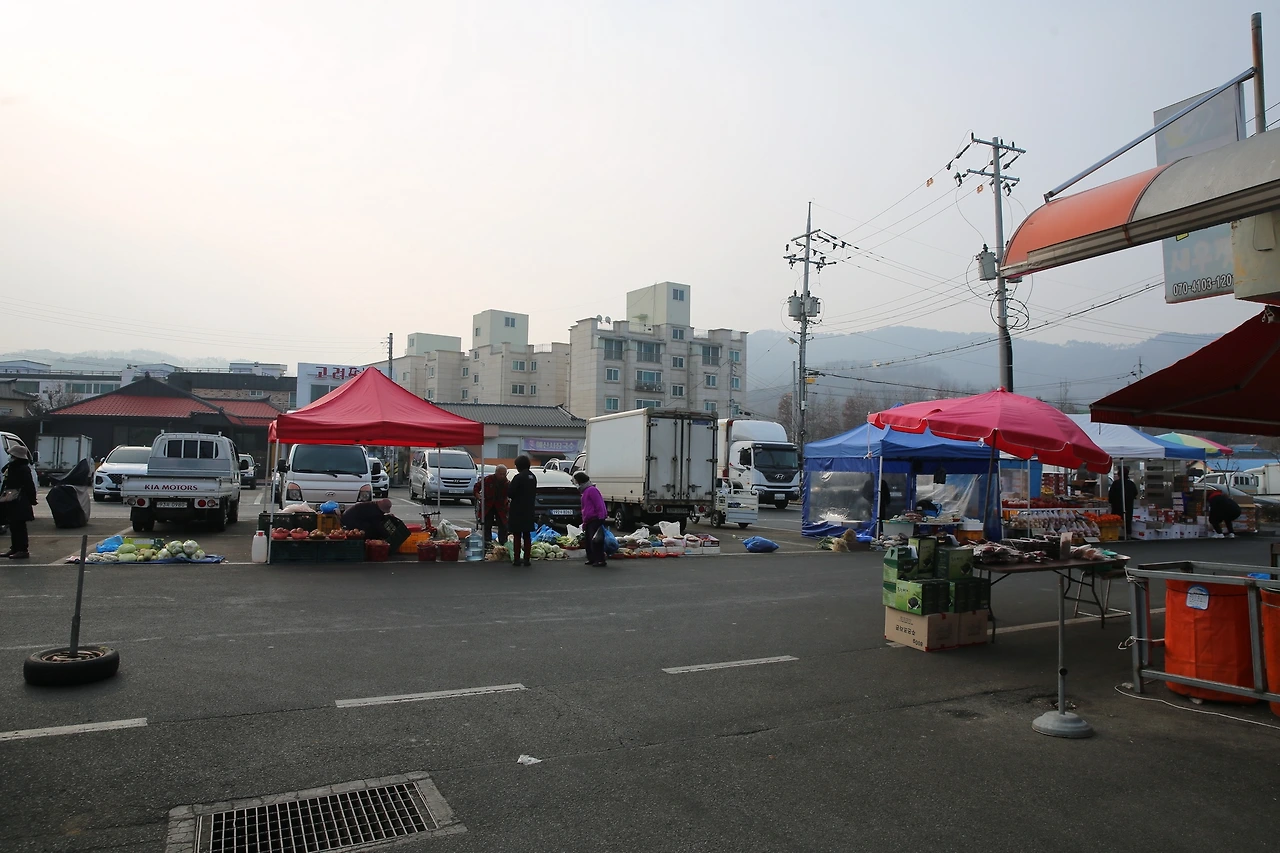 MG0A6609_новый размер.JPG