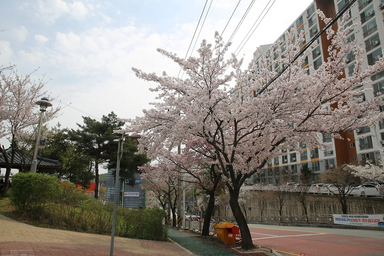 MG0A8525_новый размер.JPG