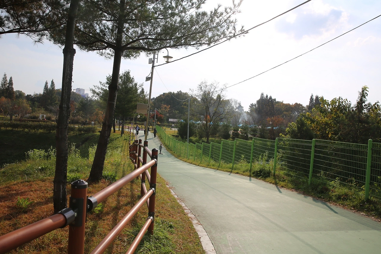 MG0A9662_новый размер.JPG