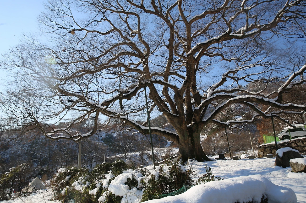 MG0A2324_новый размер.JPG