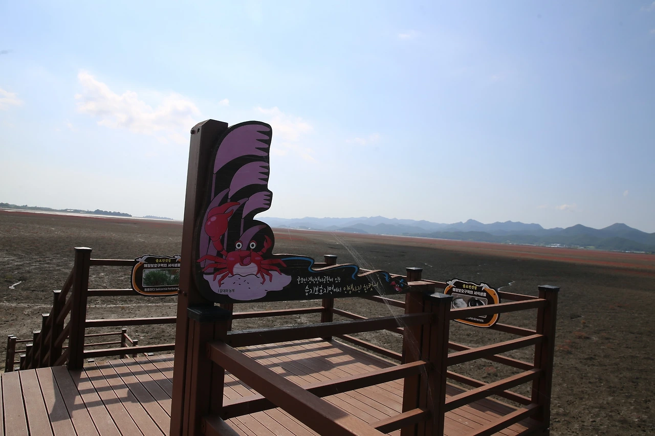 MG0A5298_новый размер.JPG