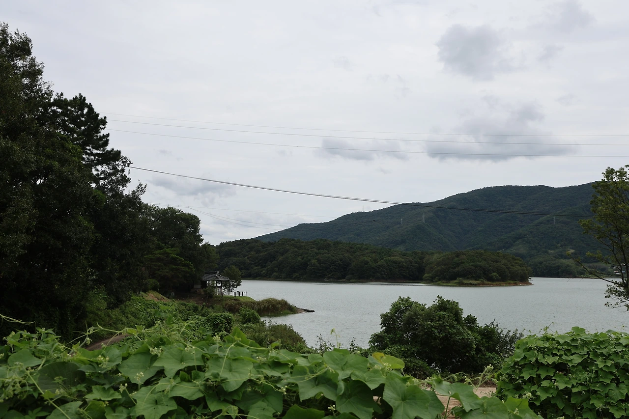 0R5A7590_новый размер.JPG