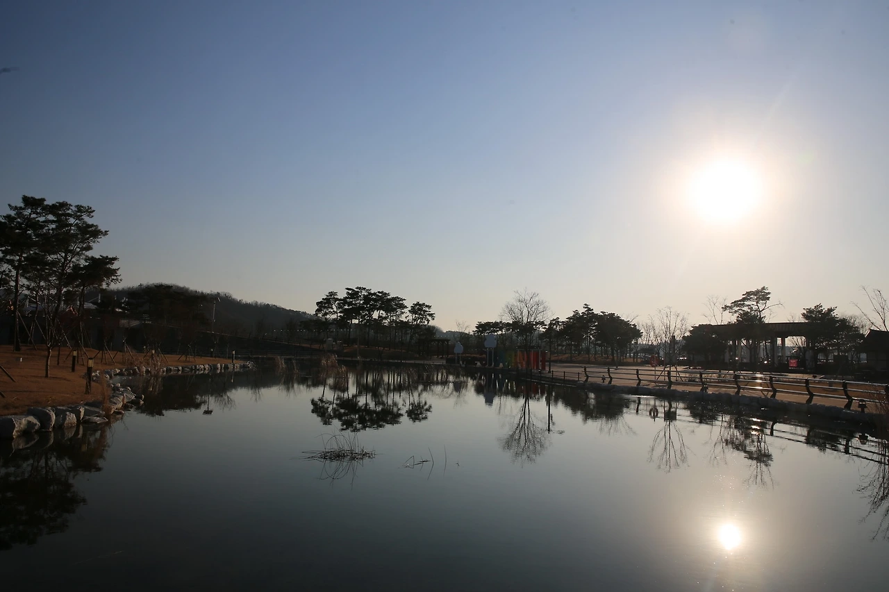 MG0A8498_новый размер.JPG