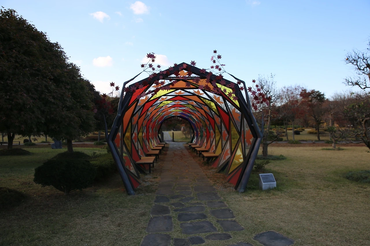 MG0A0662_новый размер.JPG