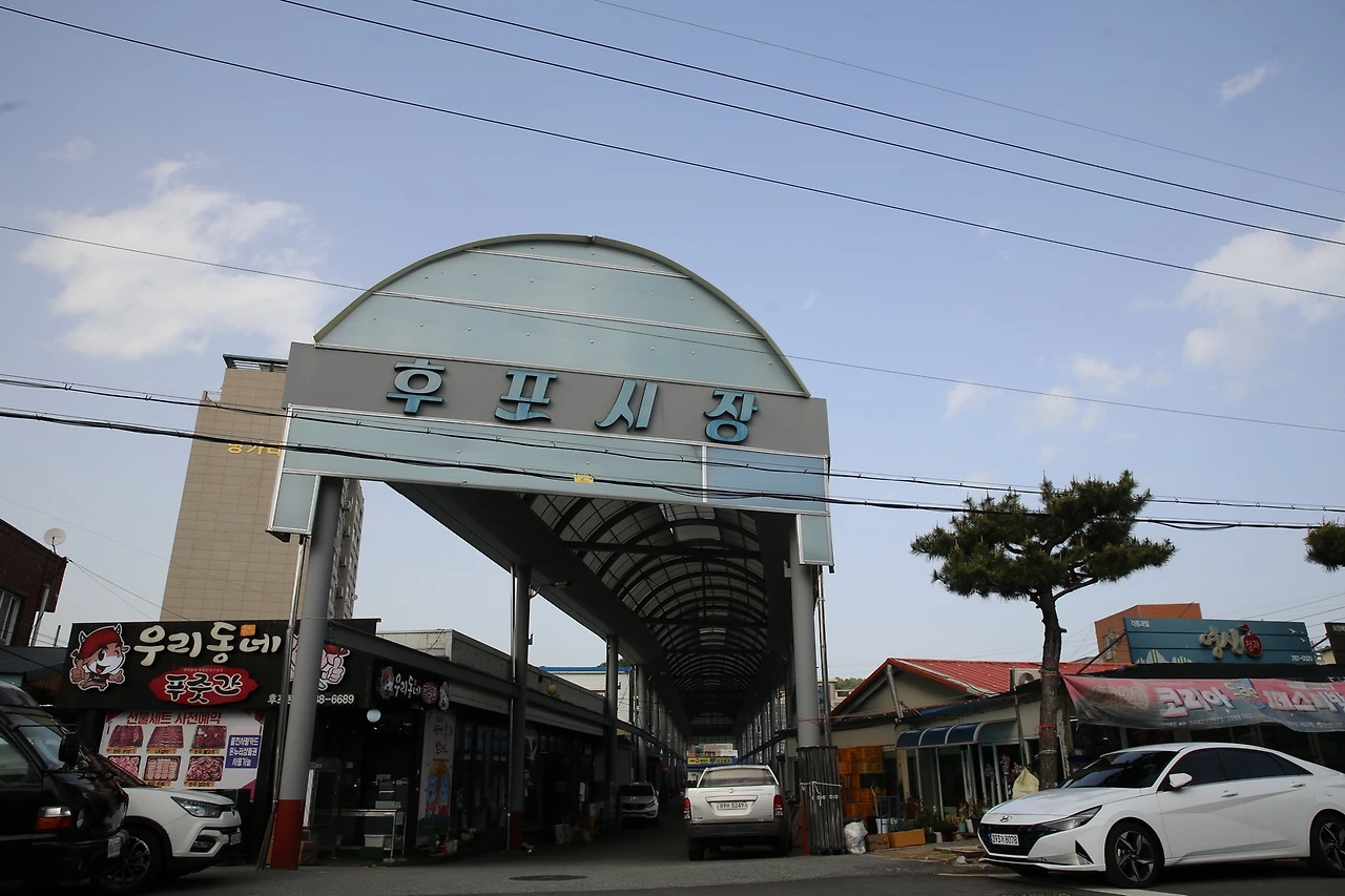 MG0A9939_новый размер.JPG