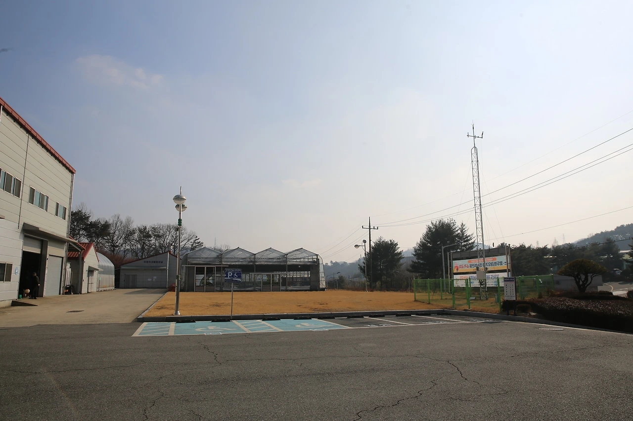 MG0A9424_новый размер.JPG