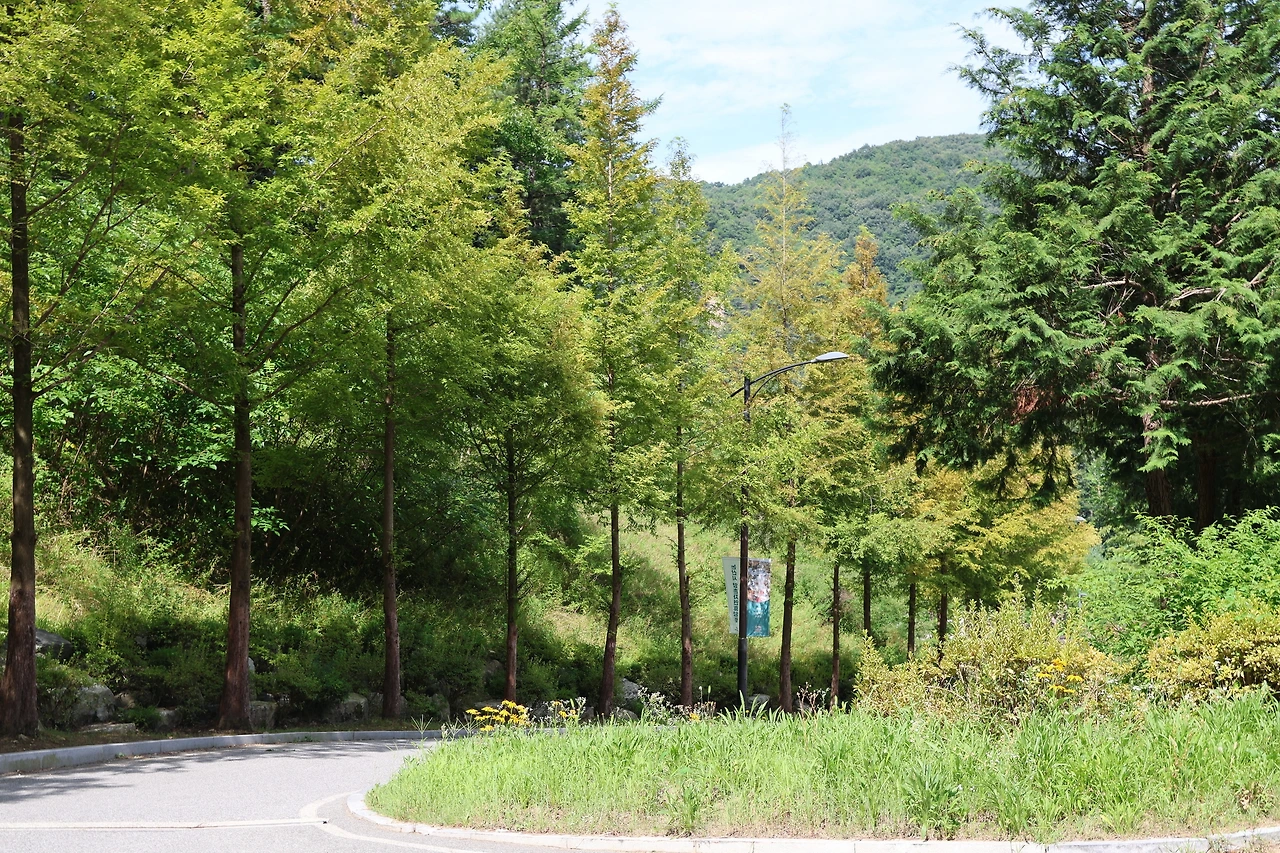 0R5A0190_новый размер.JPG