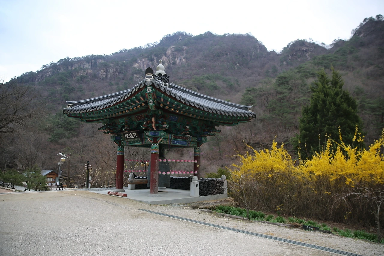 MG0A8471_новый размер.JPG