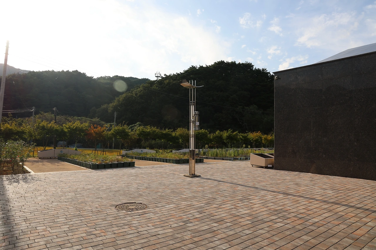 0R5A9200_новый размер.JPG