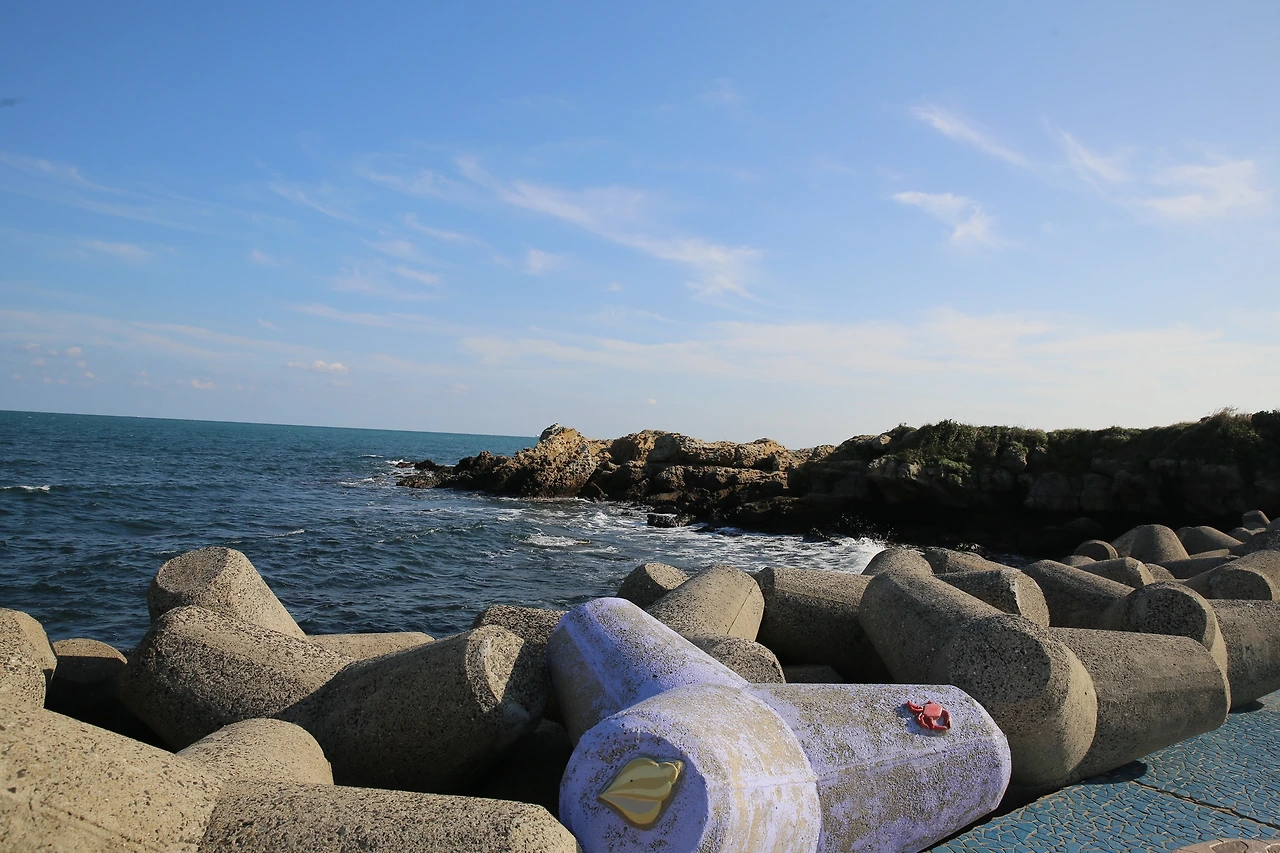 MG0A8239_новый размер.JPG