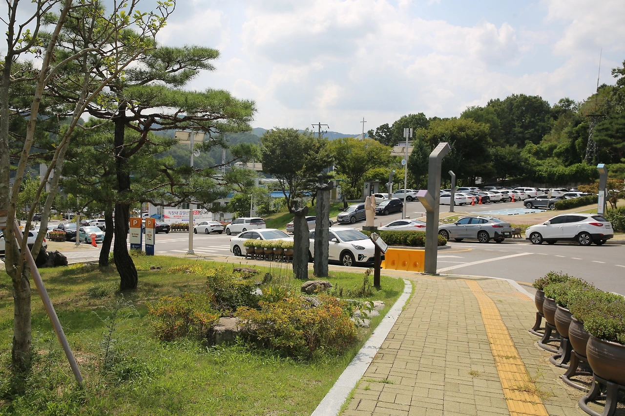 MG0A0250_новый размер.JPG