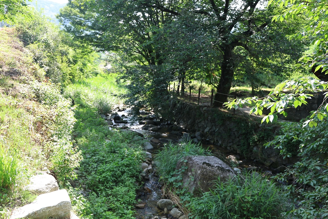 0R5A7915_новый размер.JPG