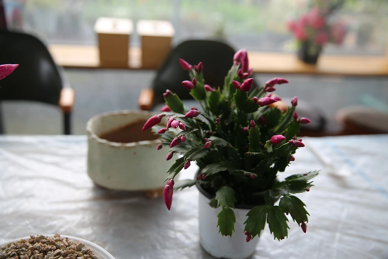 MG0A0655_новый размер.JPG