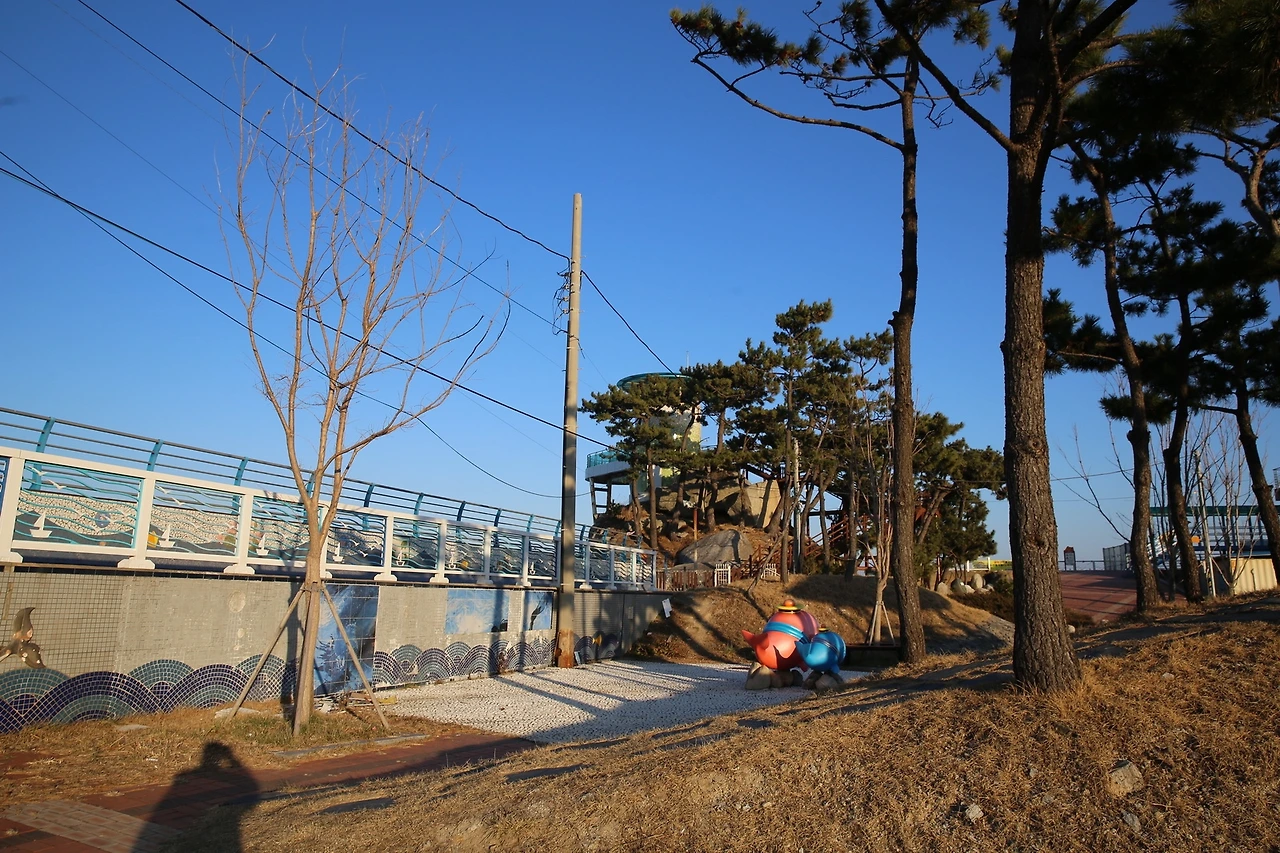 MG0A6686_новый размер.JPG