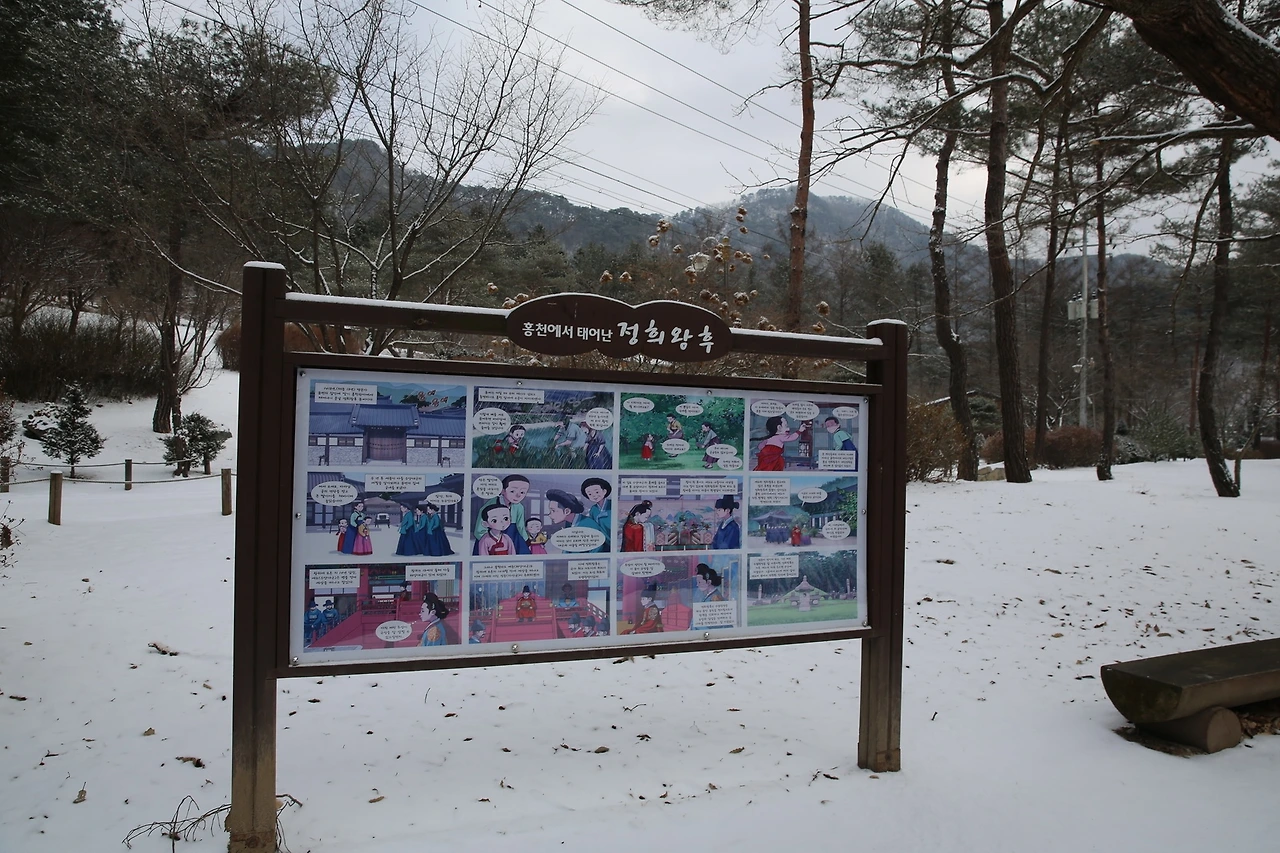 MG0A6331_новый размер.JPG