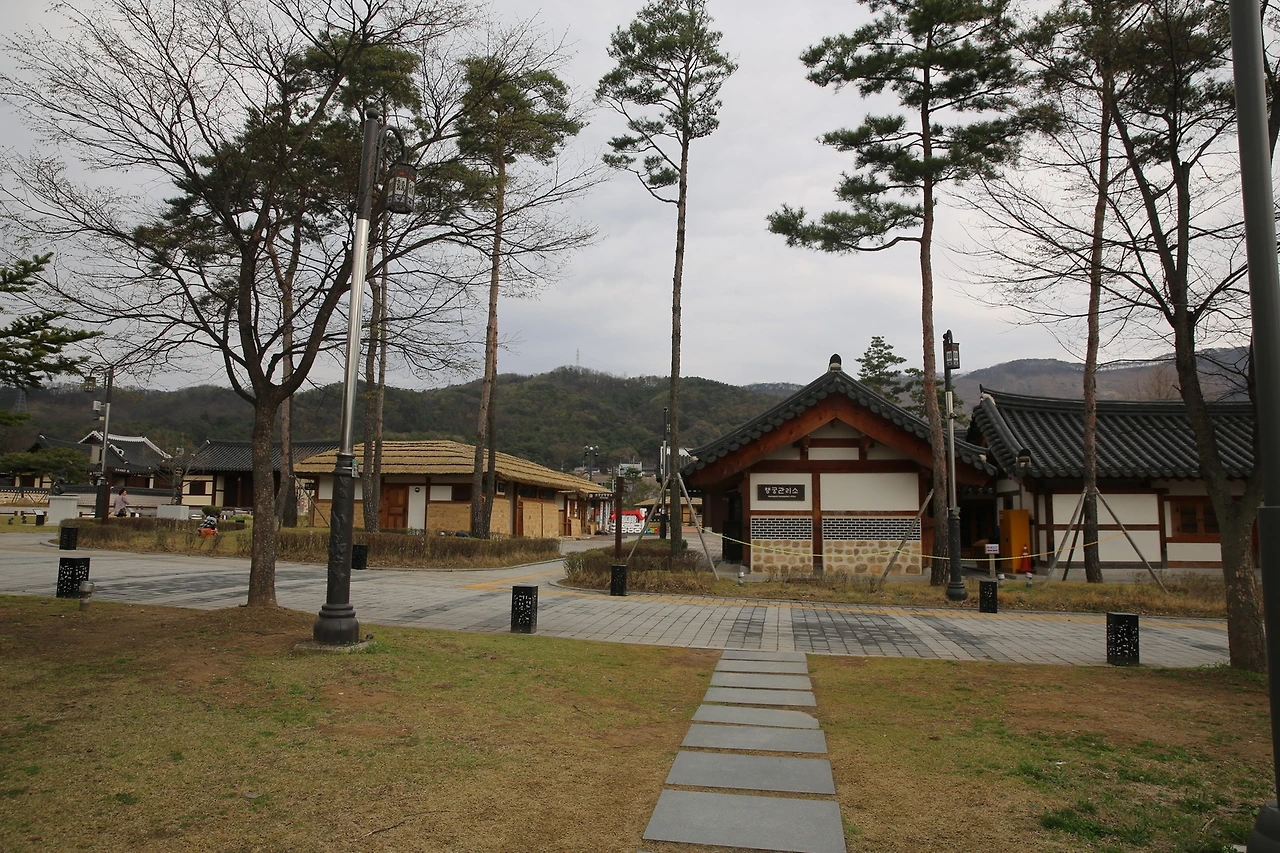 MG0A8250_новый размер.JPG