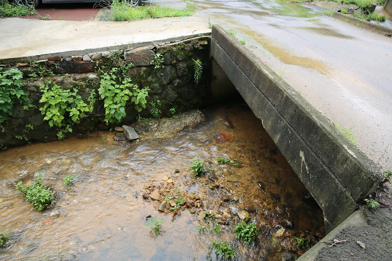 MG0A3683_новый размер.JPG