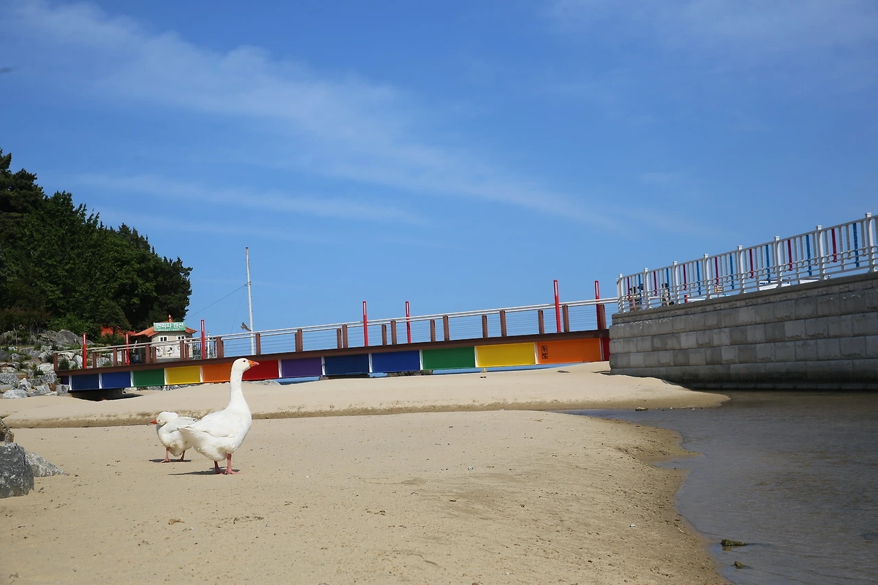 MG0A0481_новый размер.JPG