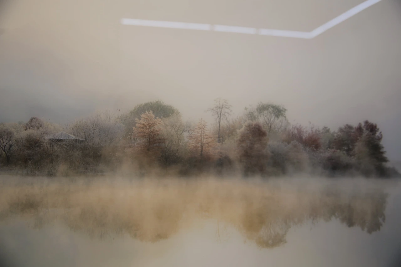 MG0A5169_новый размер.JPG