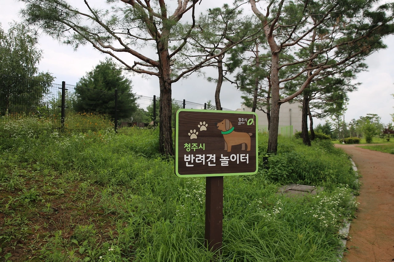 MG0A4744_новый размер.JPG