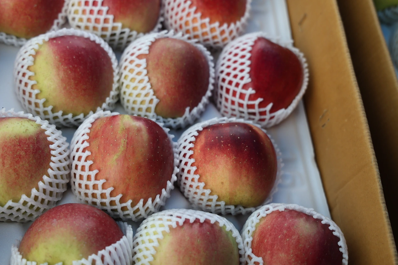 0R5A9841_новый размер.JPG