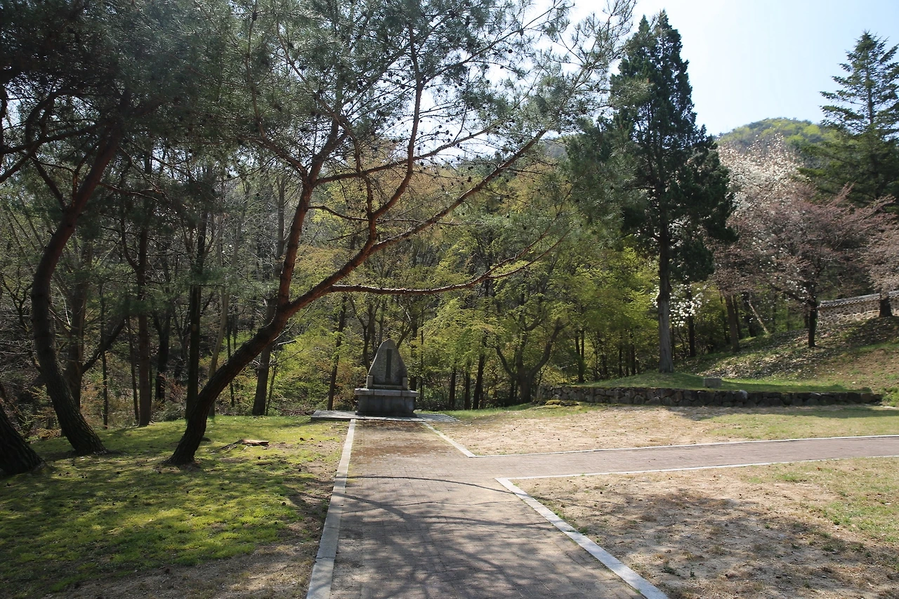 MG0A8632_новый размер.JPG